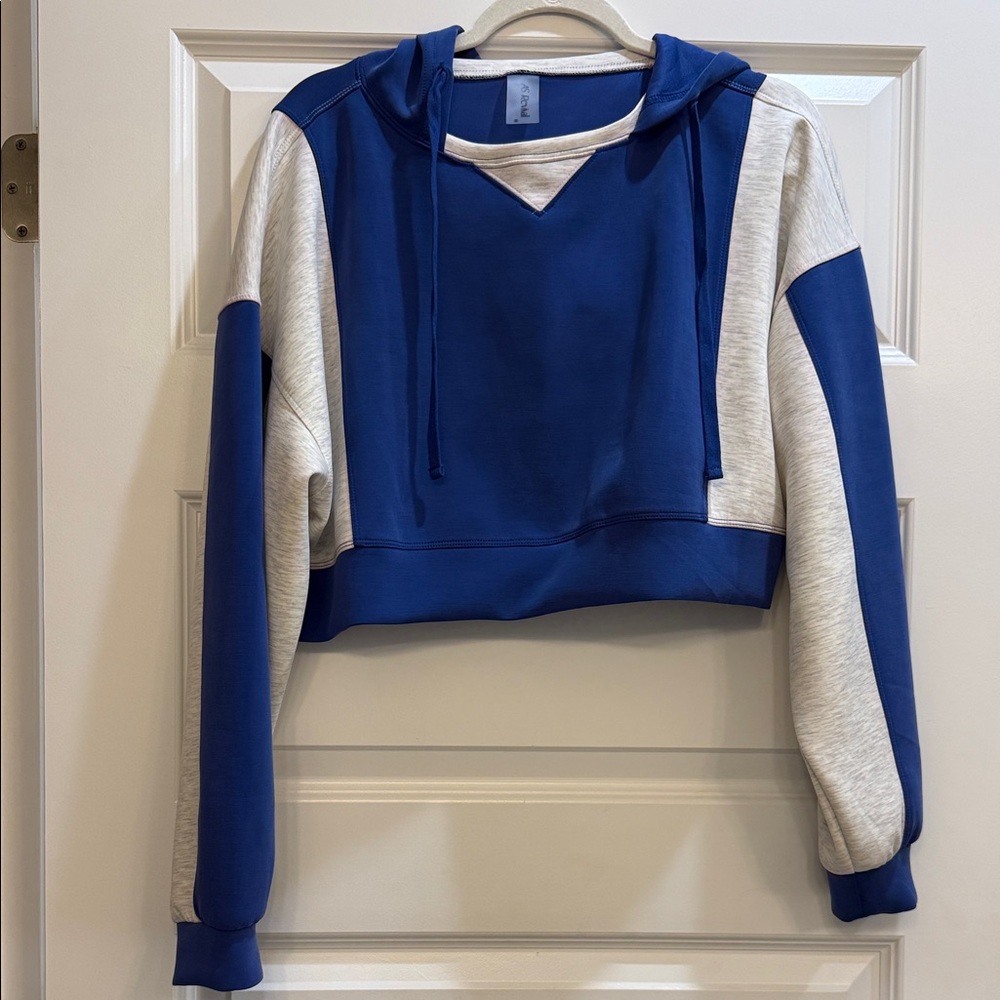 Altar'd State Blue and Gray Cropped Sweatshirt